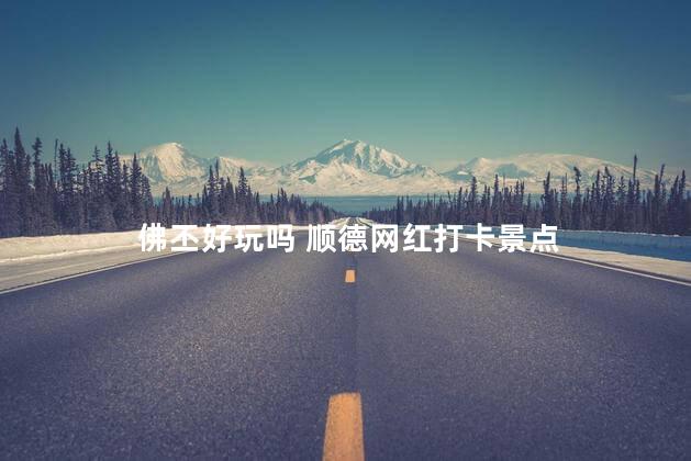 佛丕好玩吗 顺德网红打卡景点